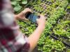 image for Cinco tendencias que favorecen el futuro de una agricultura sostenible