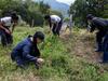 image for Actividad económica en Colombia crece en febrero