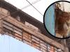 Esquina de fachada de un colegio en Peru presenta mal estado