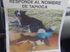 Afiche de perro desaparecido