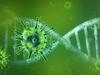 image for Listado por regiones de contagios / Coronavirus -Covid-19