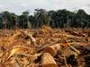 image for Procuraduria emite alerta por deforestacion del  Amazonas