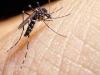 image for Medidas de prevenção contra a dengue no Amazonas