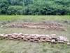 image for Polícia destruiu 700 quilos de drogas apreendidas nas diversas ações