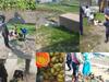 image for Operação para coibir venda irregular de alimentos na orla