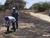 image for Corpoguajira intensifica acciones para prevenir incendios forestales