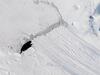 image for Hielo marino de la Antártida alcanza un récord mínimo histórico