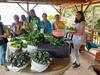 image for CCI lanza convocatoria para apoyar a las mujeres rurales 
