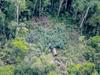 image for Existencia de pueblos no contactados en la Reserva Indígena Napo Tigre