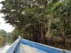 Selva del Guaviare vista desde un avion