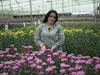 image for Colombia podrá exportar flores a Brasil a partir de febrero