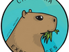 capibara's picture capibara's picture