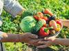 agricultura's picture