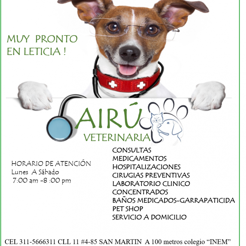 Airu Veterinaria