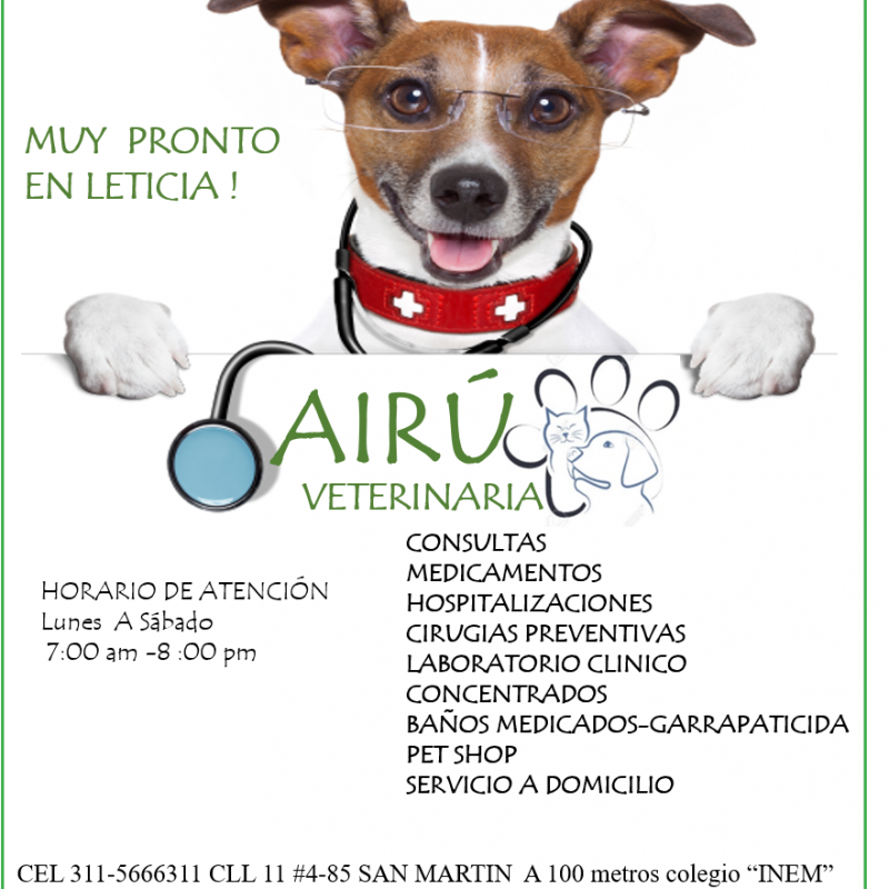 Imagen de un perro con indicaciones de servicios veterinarios