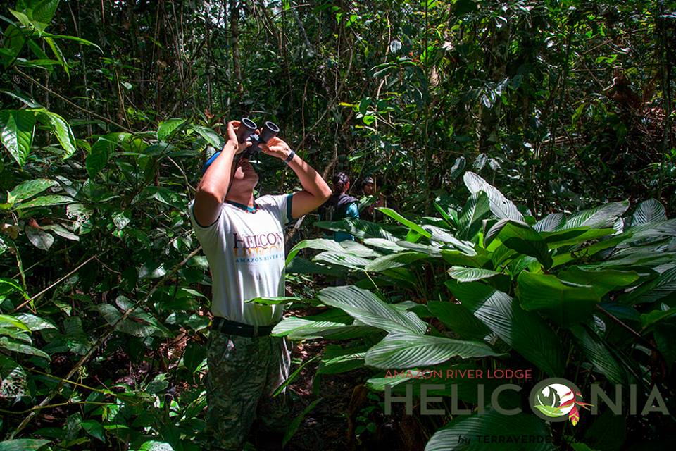 Heliconia Amazon River Lodge