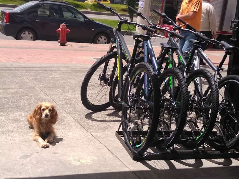 Bicitienda el mono