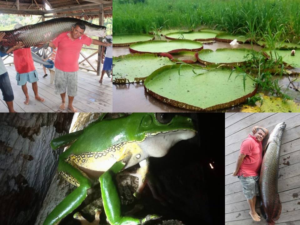 Sancocho TOURS