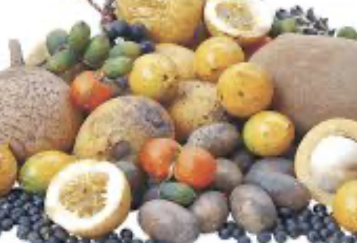 image for Pulpas de frutas Asai Lara