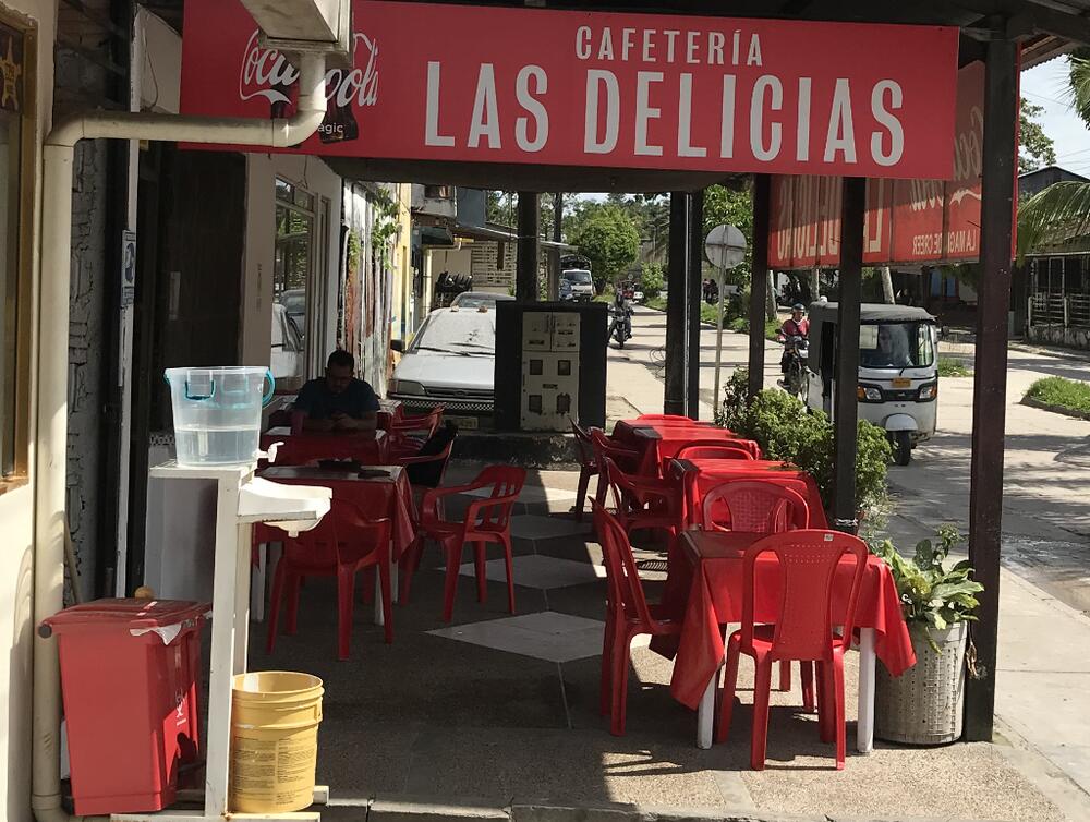 image for Las delicias