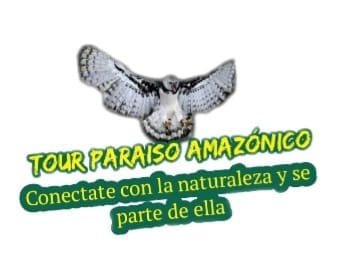 Tour Paraiso Amazonico image for Tour Paraiso Amazonico