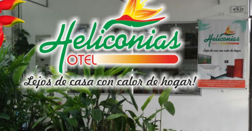 image for Heliconias