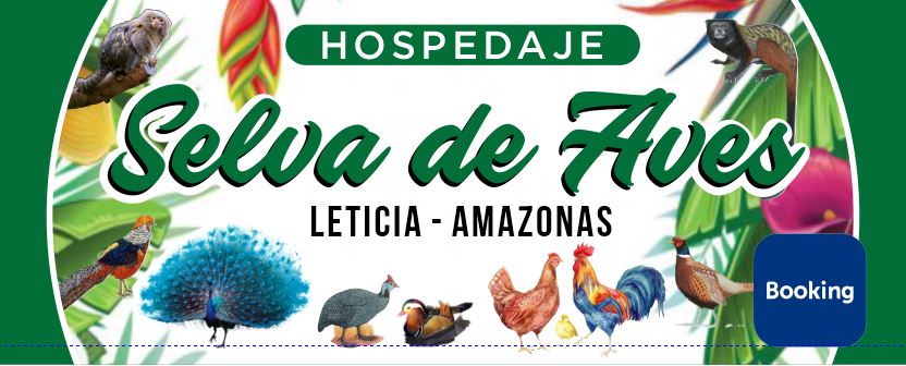 Selva de Aves image for Selva de Aves