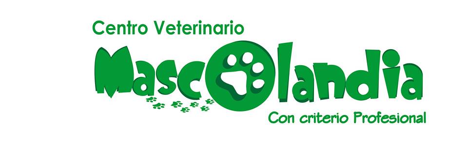 image for Centro veterinario mascolandia