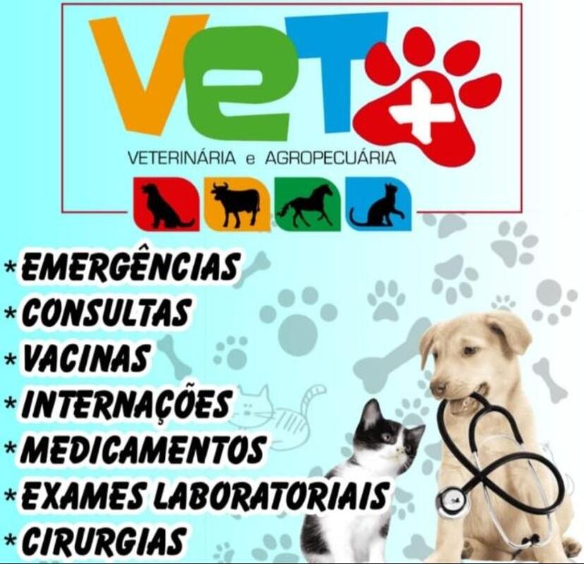 image for Veterinaria Vet+
