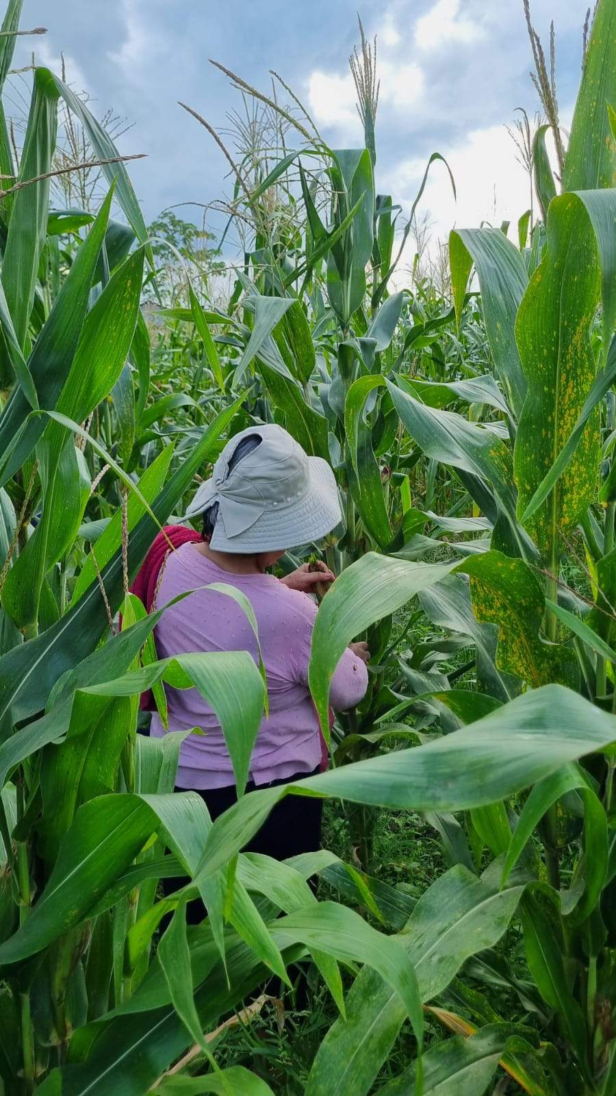 wall-1762730308 image for wall-1762730308