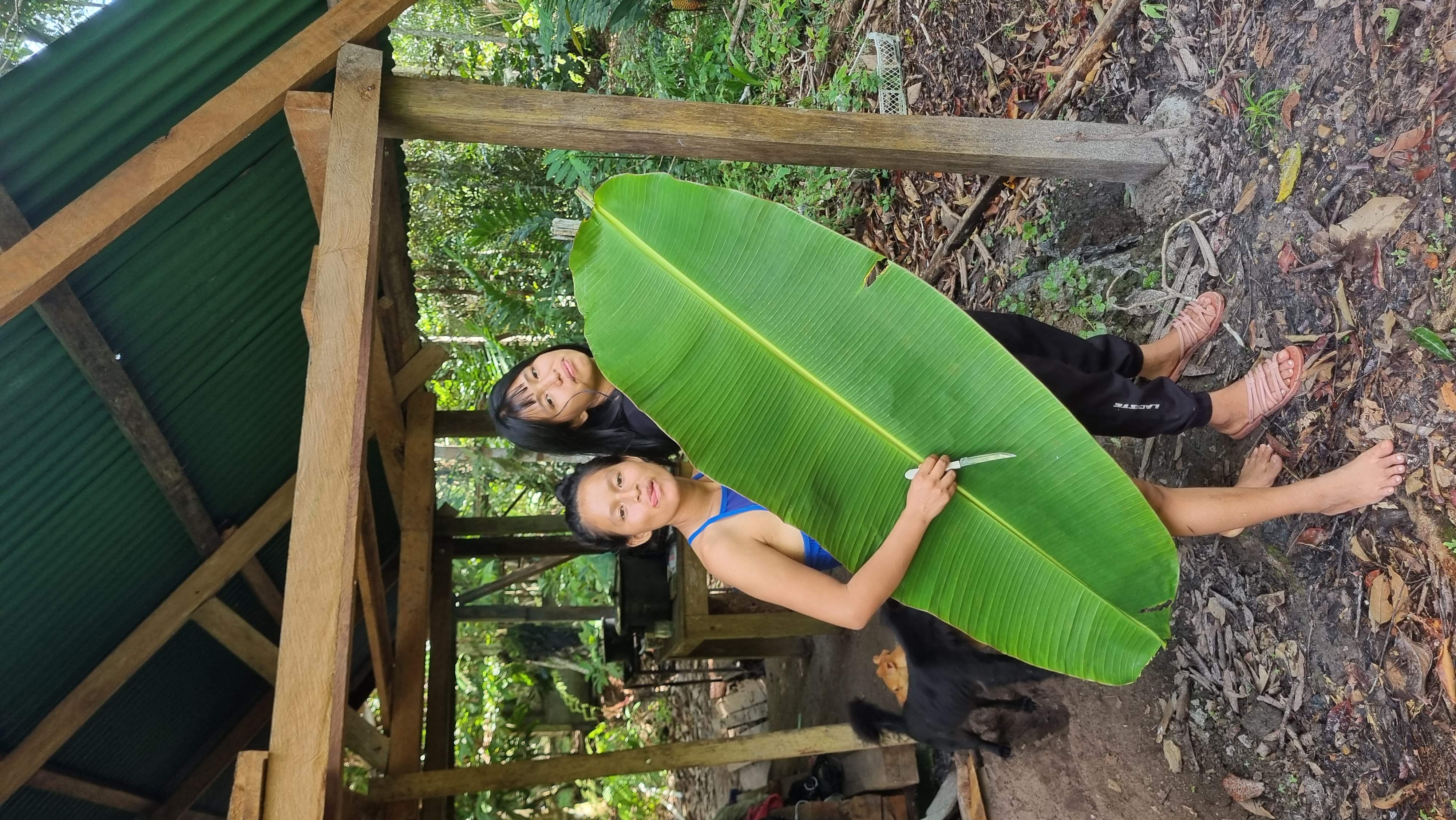 image for wall-1766405300