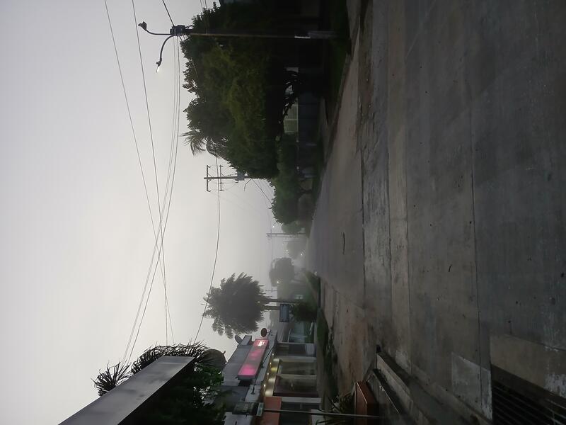 Leticia amanece bajo la neblina image for Leticia amanece bajo la neblina