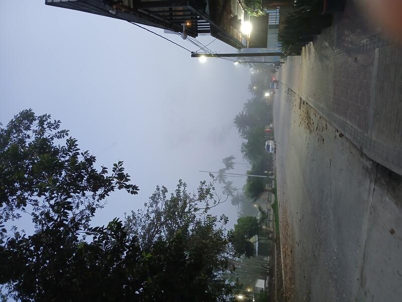 Leticia amanece bajo la neblina image for Leticia amanece bajo la neblina