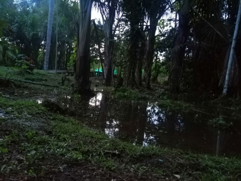 42736 42736