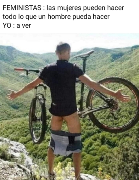 44426