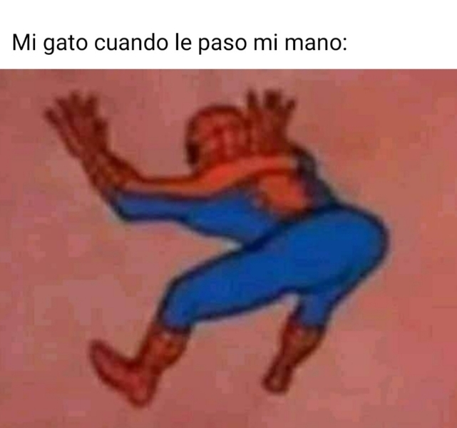 45918