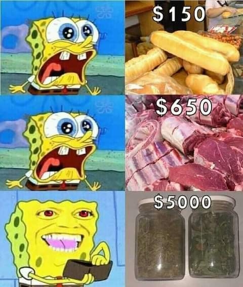 52154