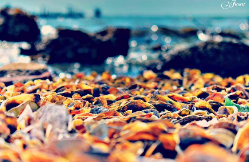 wall-1618155236 image for wall-1618155236