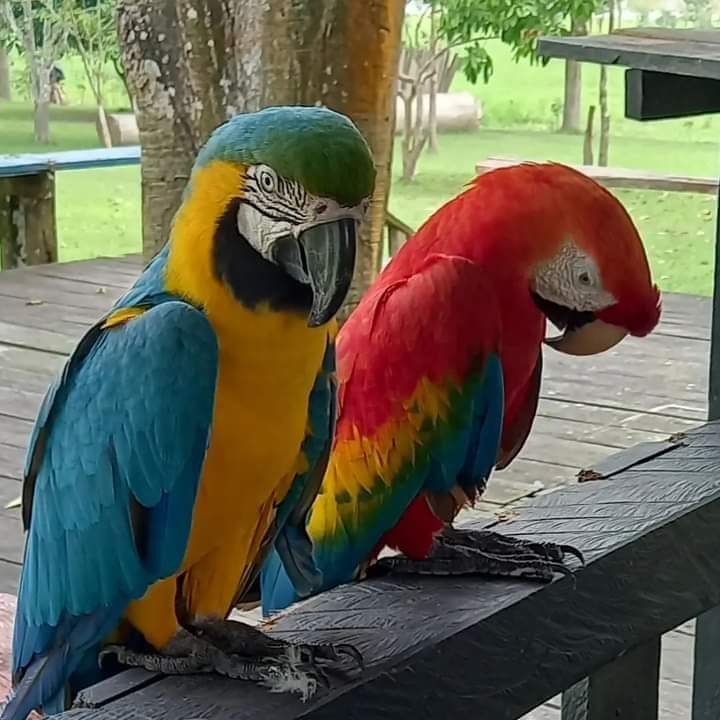 57190