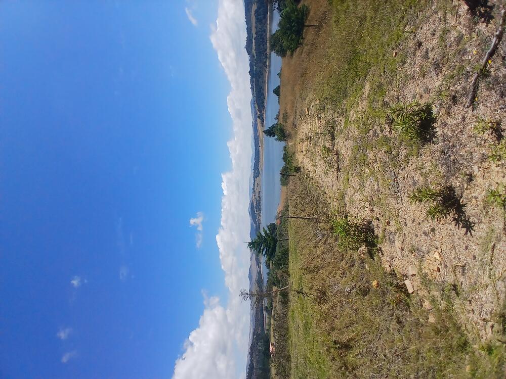 wall-1773591251 image for wall-1773591251