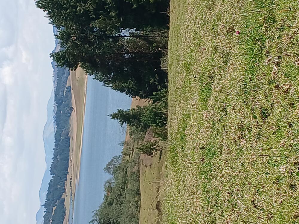 wall-1773591251 image for wall-1773591251