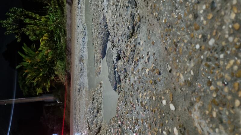 wall-1761879521 image for wall-1761879521